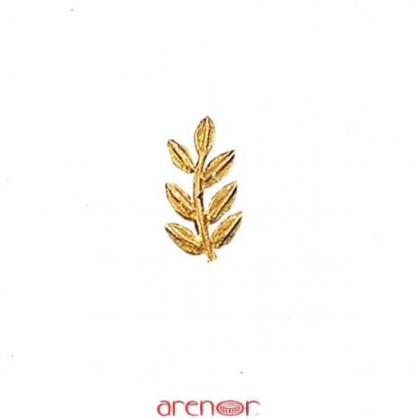 Pin's branche d'acacia